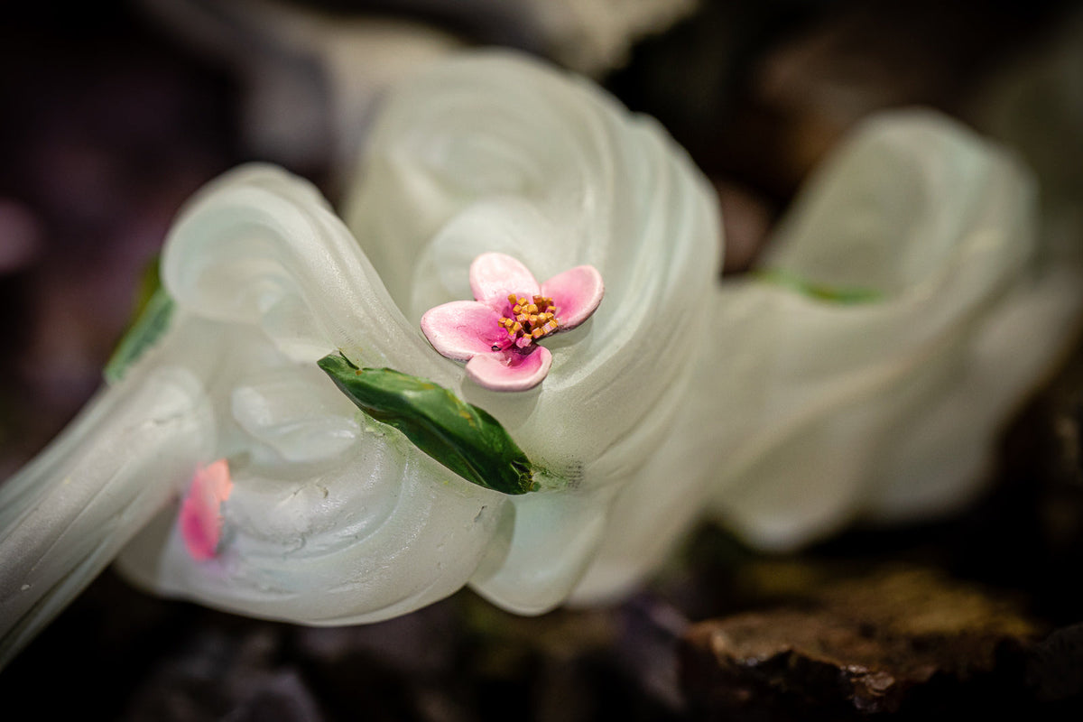 Rurouni Kenshin - Kenshin VS Shishio 25th Anniversary Edition COMICON