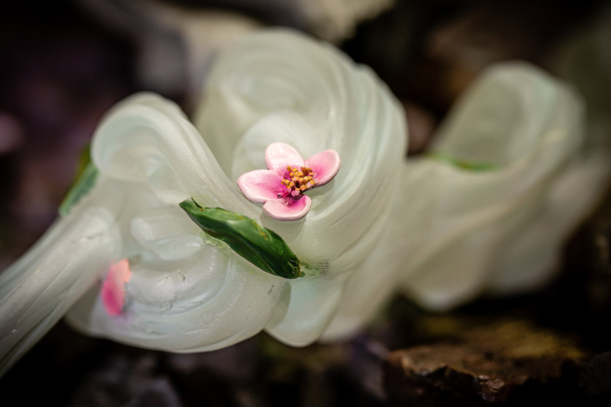 Rurouni Kenshin - Kenshin VS Shishio 25th Anniversary Edition